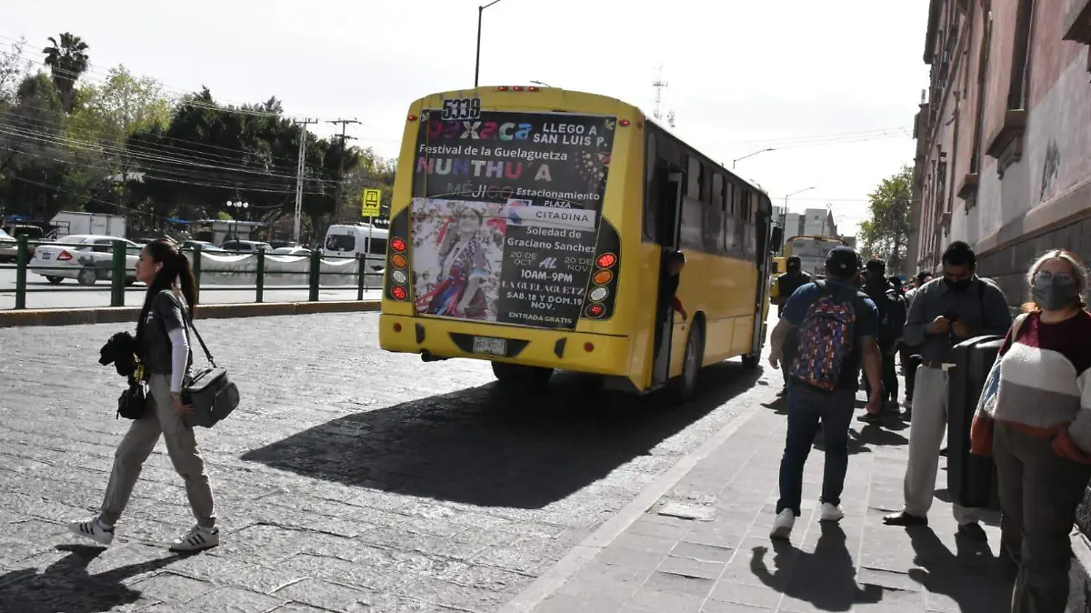 Trasporte publico camiones NR (3)